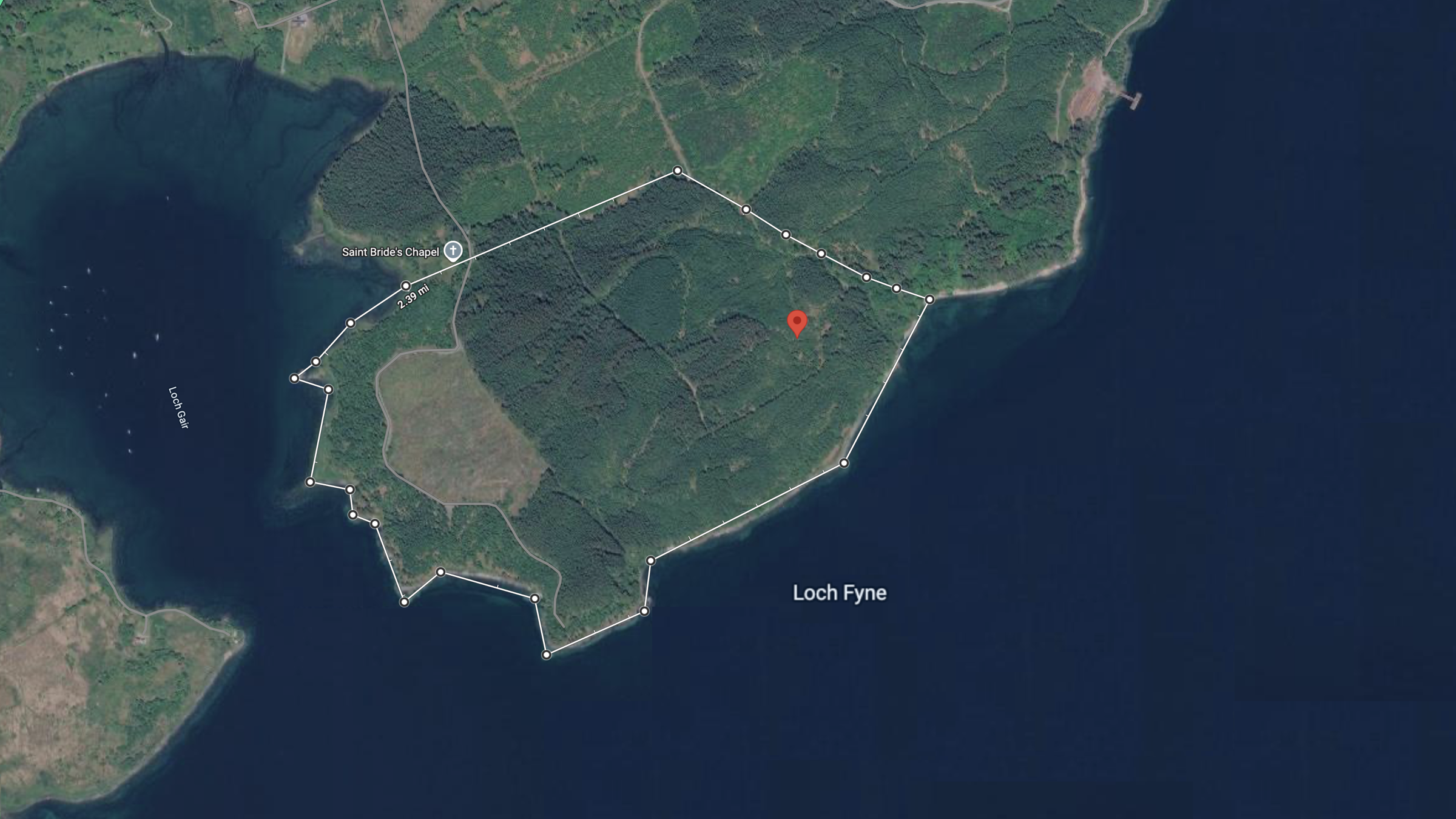 Satellite map of the Ardcastle Wood peninsula on Loch Fyne, showing its outlined boundary and extensive waterfront